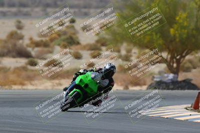 media/Apr-10-2022-SoCal Trackdays (Sun) [[f104b12566]]/Turn 5 Tree of Life (1040am)/